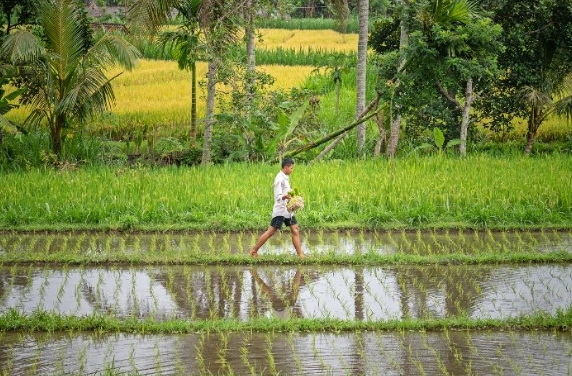 Bali Adventure Getaway: 7 Days of Cycling, Hiking & Hidden Villages