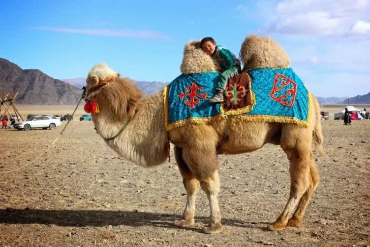 Mongolian Adventure: Into the Land of Eternal Blue Sky