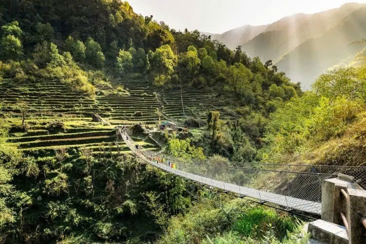 Annapurna Lodge Trek Private Journey 11 Days
