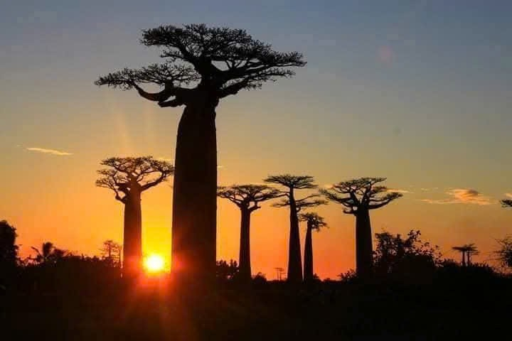 Madagascar: Off the Beaten Path 15 Days