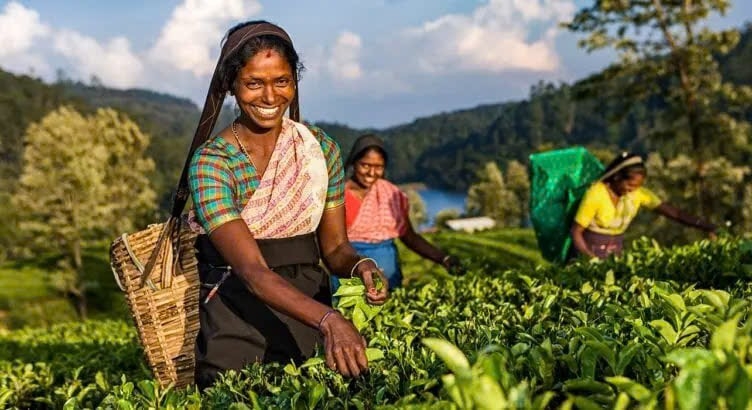 Sri Lanka Private Journey 13 Days