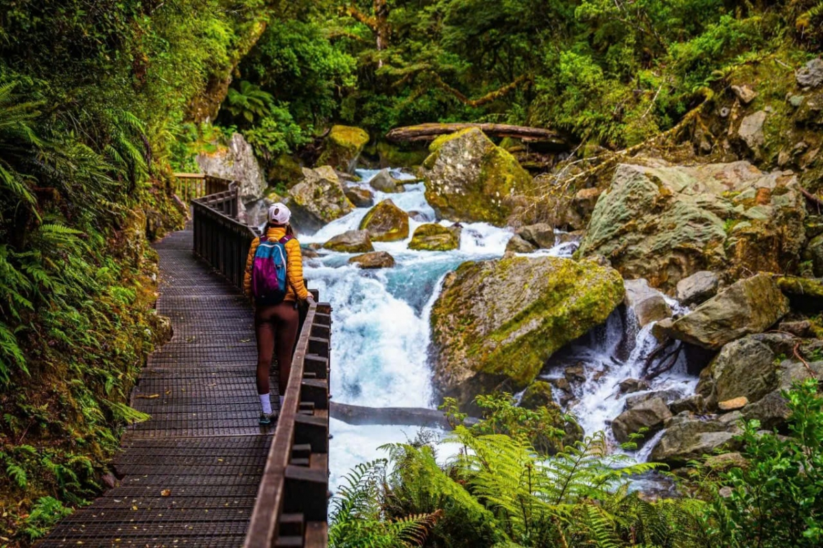 The Best of New Zealand 11 Days Adventure Cruise